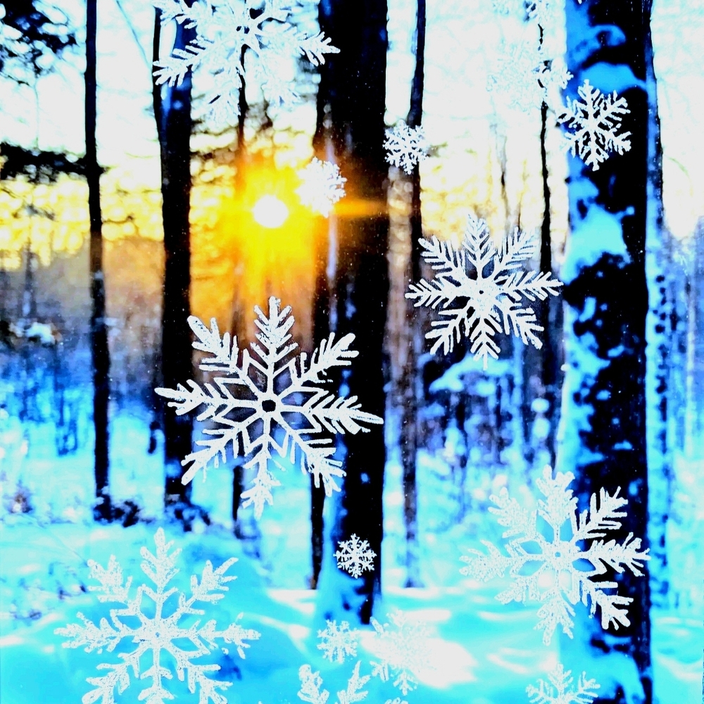 ❄️Winter Sale❄️  (11/30/2025-3/14/2026)